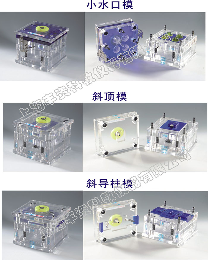 FZ-TMJ型 理論教學透明模具模型